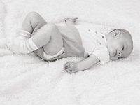 Siney 242 242