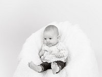 Siney 48 48