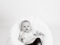 Siney 53 53