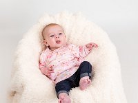 Siney 2416 65