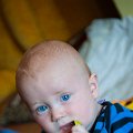 Gal_131805_0060