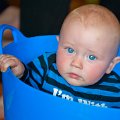 Gal_131805_0100