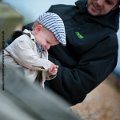 BEX_0775